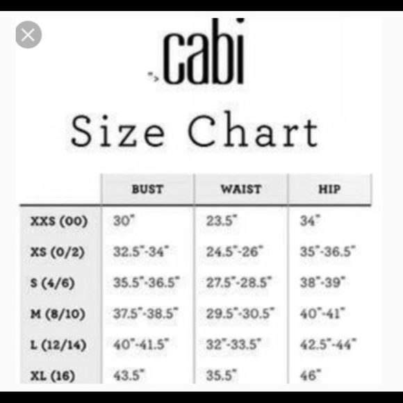 Cabi Midsummer Dress - Picture 14 of 14